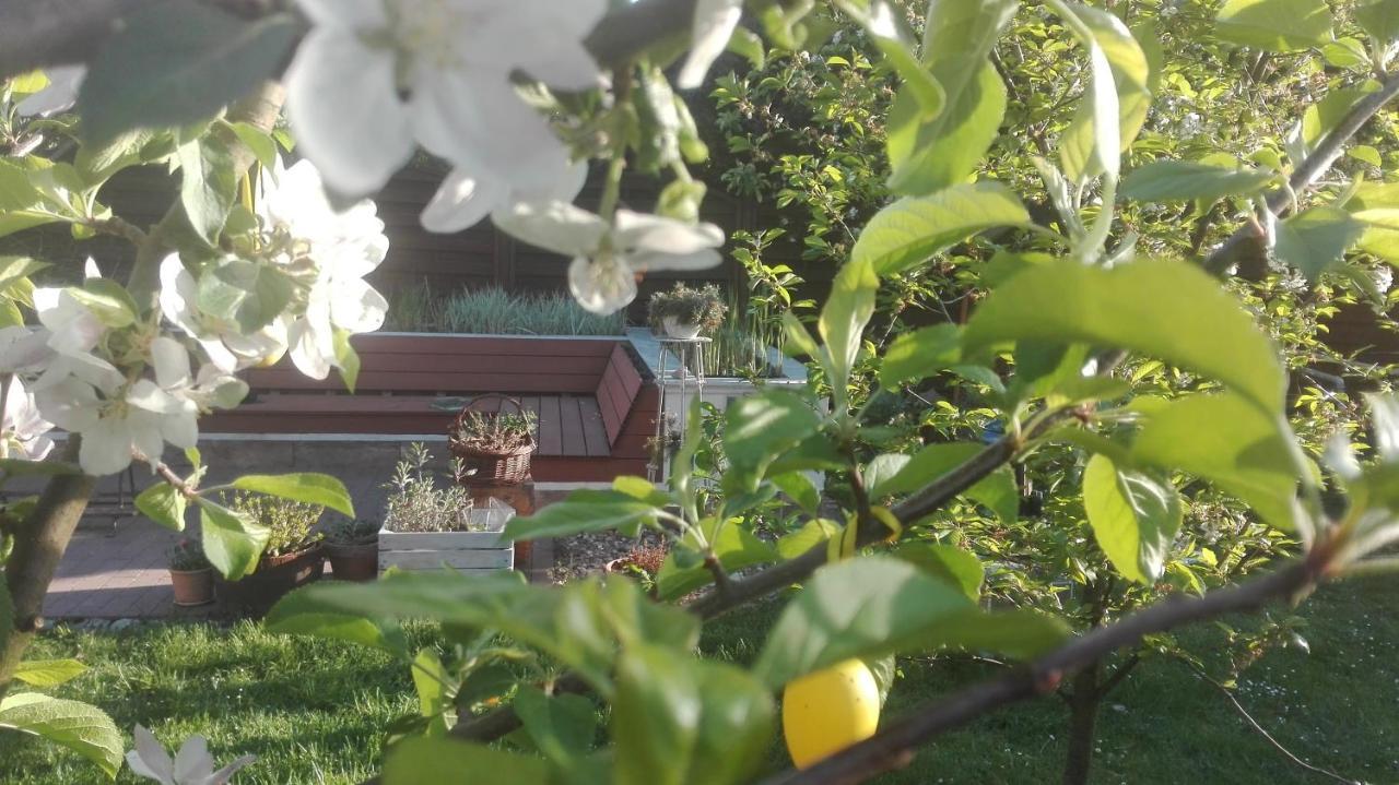 Apartment Brzoza I Swierk Z Widokiem Na Gory Jelenia Góra